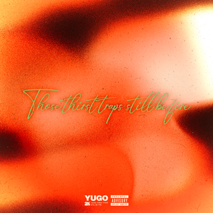 树精缠绕藤蔓产子干
