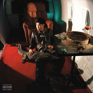 国产麻豆视频观看
