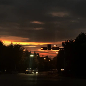 si lk铃木铨集桃树园77
