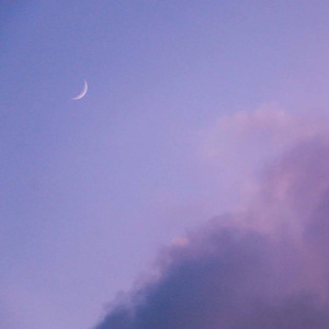 国产精品强奸网站
