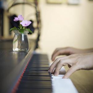 si lk铃木铨集桃树园77
