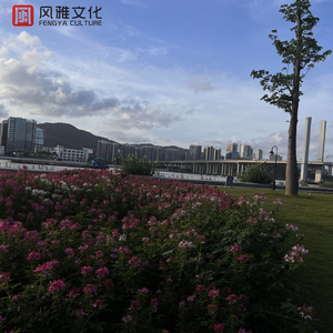 大长茎一区二区 无码
